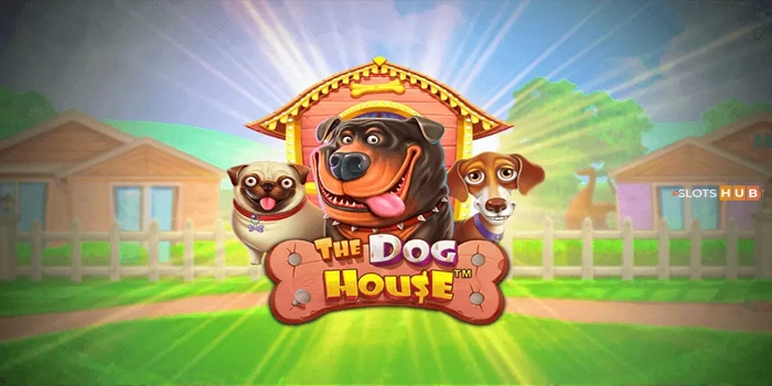 Trik Rahasia Menentukan Timing Pola Slot The Dog House