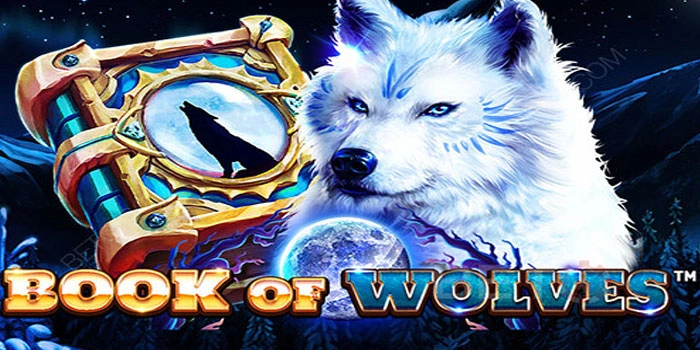 Tips Ampuh Raih Cuan Besar Di Slot Book Of Wolves